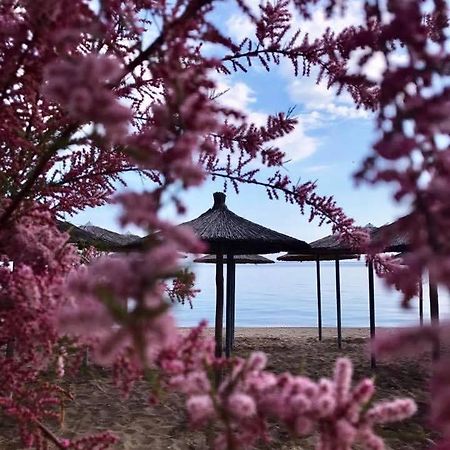 Hotel Nautilos 소조폴리 외부 사진